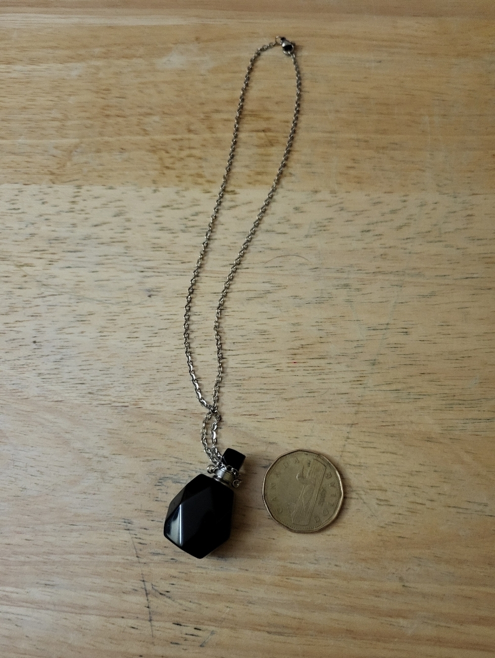 Silver Tone Obsidian Crystal Bottle Necklace